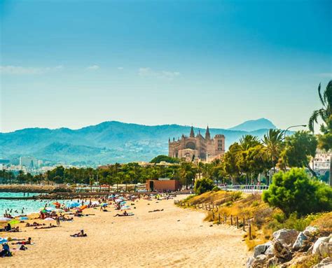 playa gay palma de mallorca|GAY PALMA GUIDE 